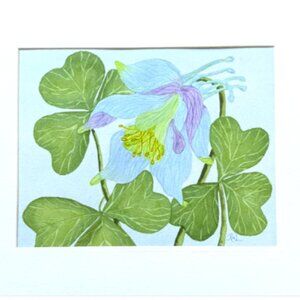 Painting Watercolor Flower Columbine Blue Purple 11x14 & Mat 16x20 Original Art